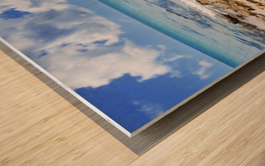 Beach Woman Wood print