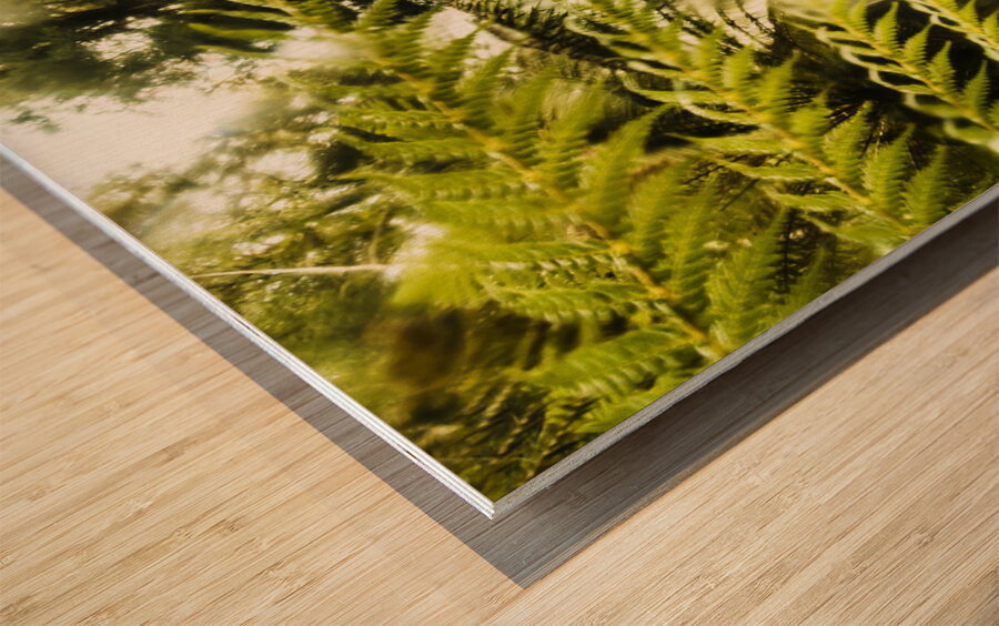 Russell Falls background Wood print