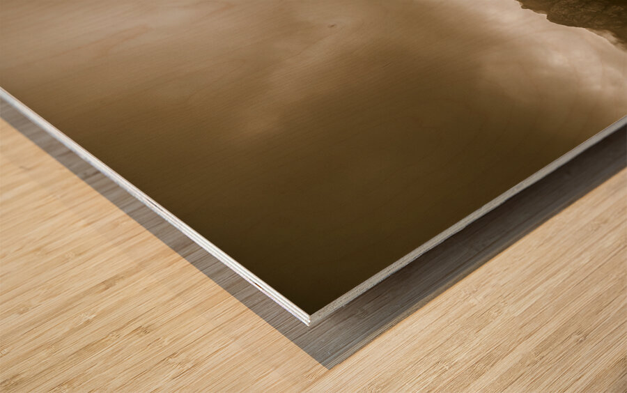 All roads lead to adventure Wood print