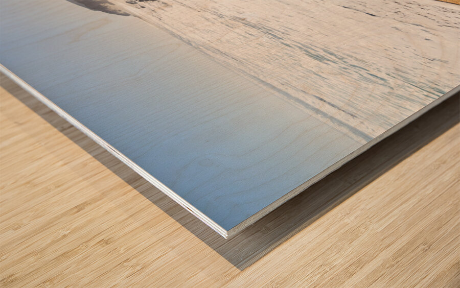 Seaside steps Wood print