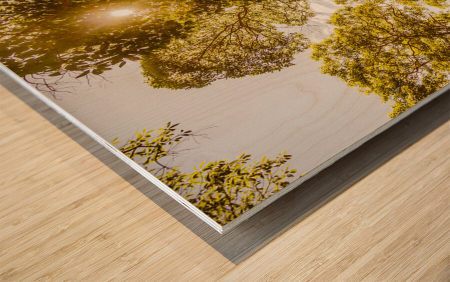 Amity Vl. Wood print