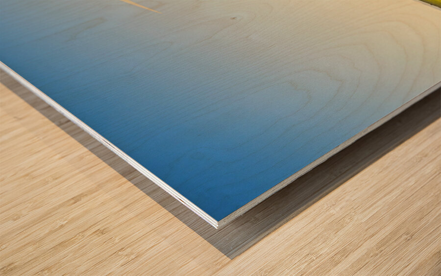 Windfarm way Wood print