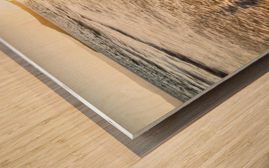 Sun surf and waves Wood print