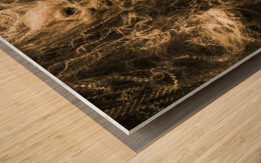 Web of entrapment Wood print