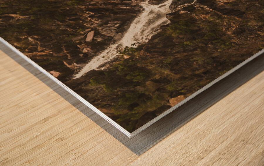 Near free fall Wood print