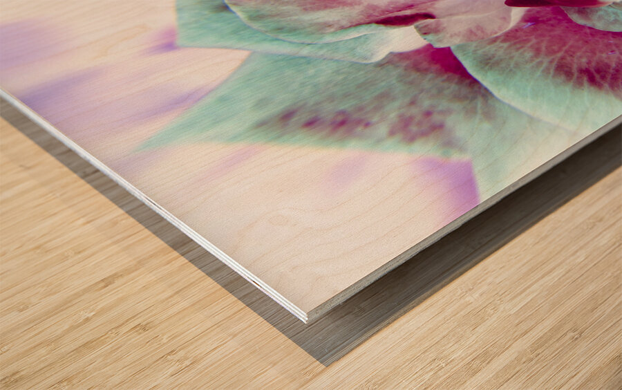 Wild exotics Wood print