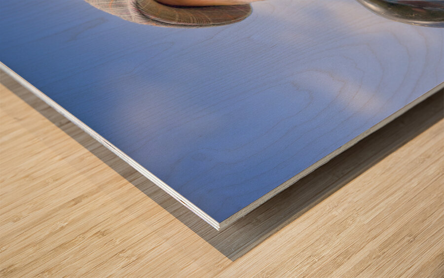 Golfing mad Wood print