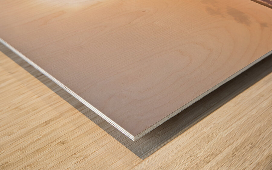 Main Beach Sunrise Wood print