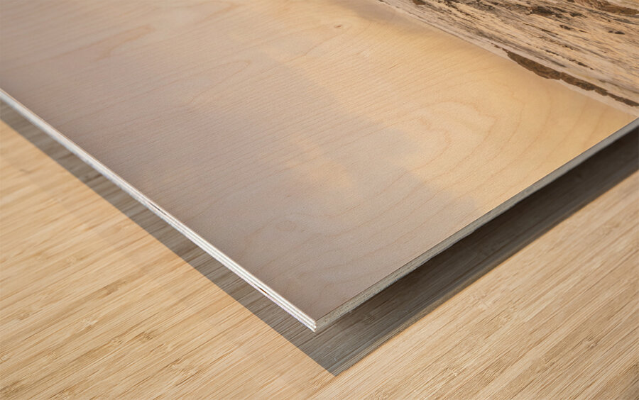 Rocky seashore scene  Wood print