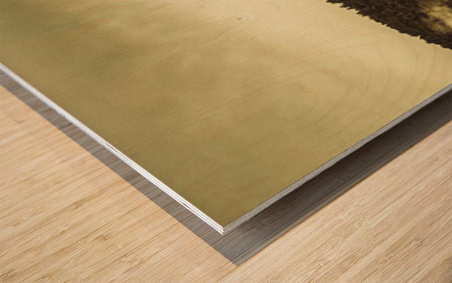 Ice covered mountain panorama in Tasmania Wood print