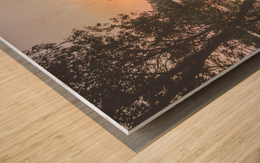 Late light  Wood print