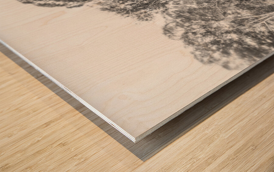 In gusts of a snowstorm Wood print