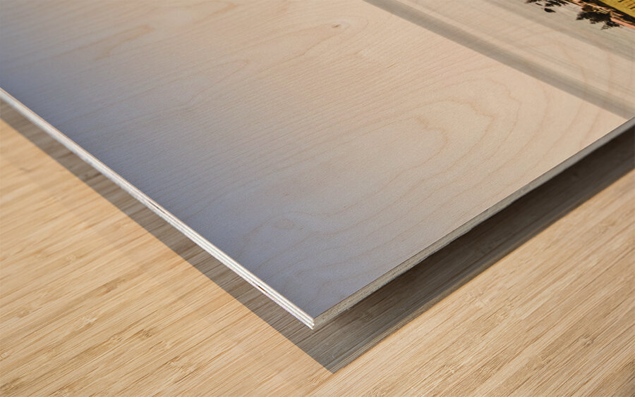 The Nut in Stanley Tasmania Wood print