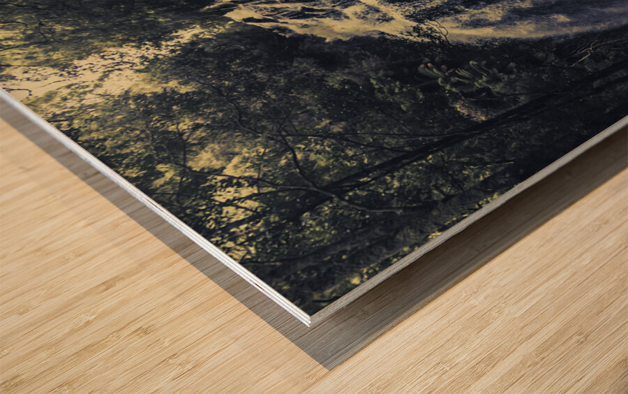 Forest falls Wood print