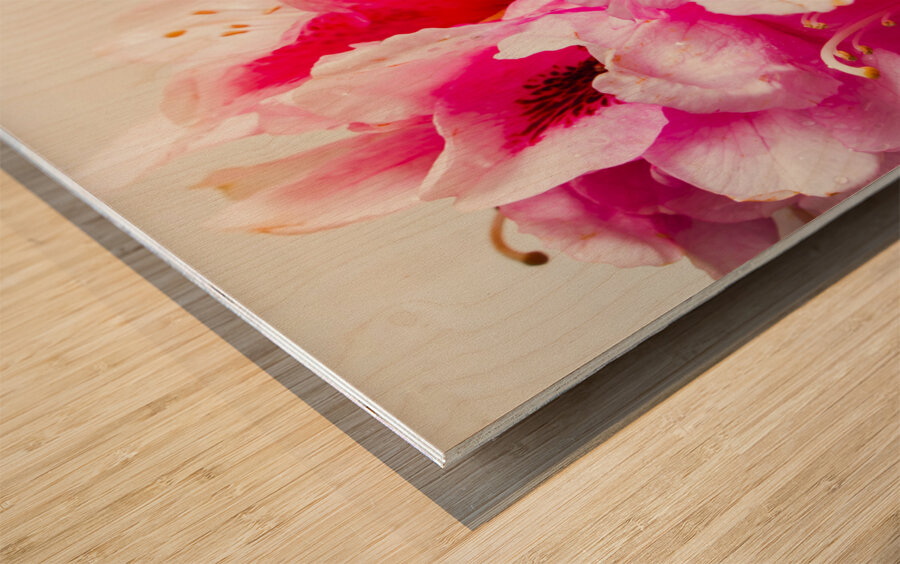 Spring of flower bouquets Wood print