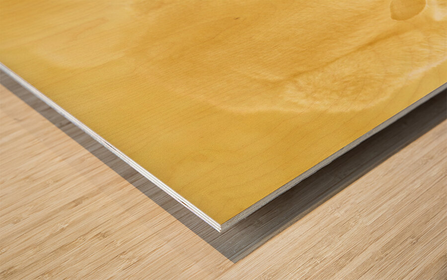 Golden Roo Wood print