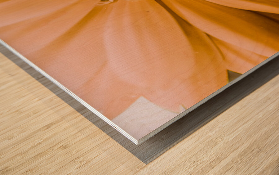 Decorative closeness Wood print