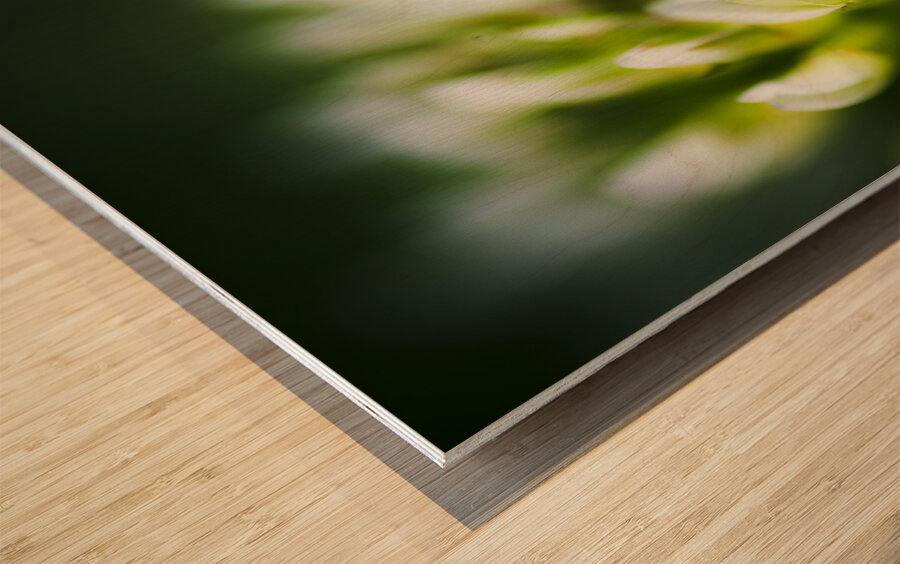 Nature Details Wood print