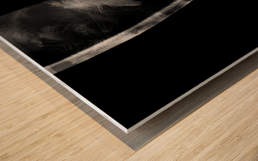 The rabbit hole Wood print