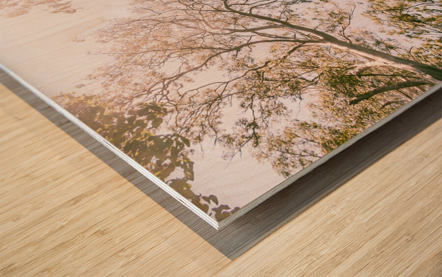 In Springnificant Wood print