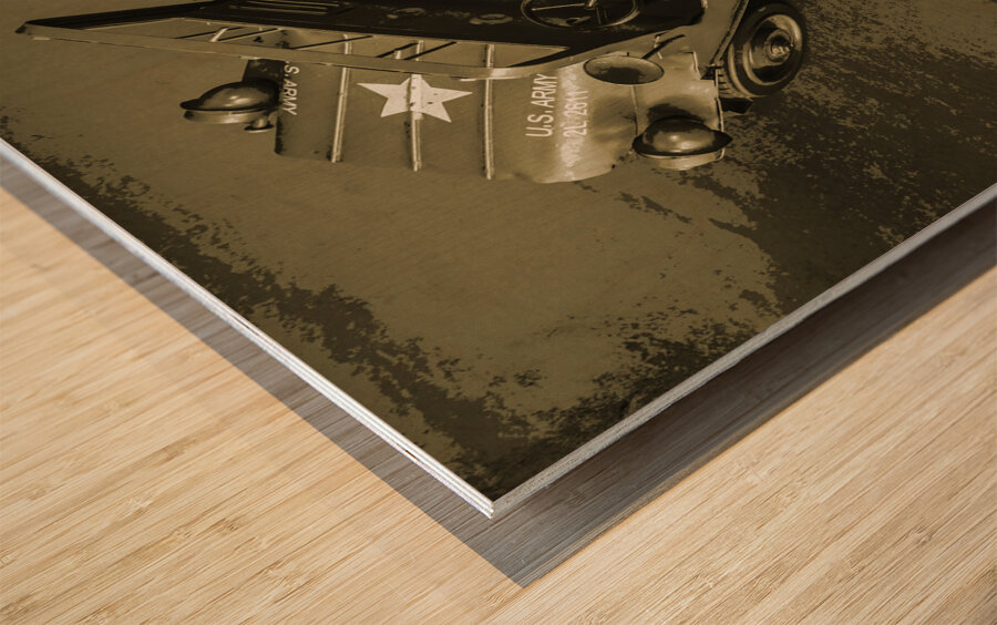 Weathered defender Wood print