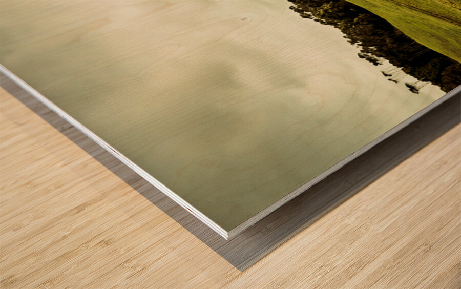 Way out west Wood print