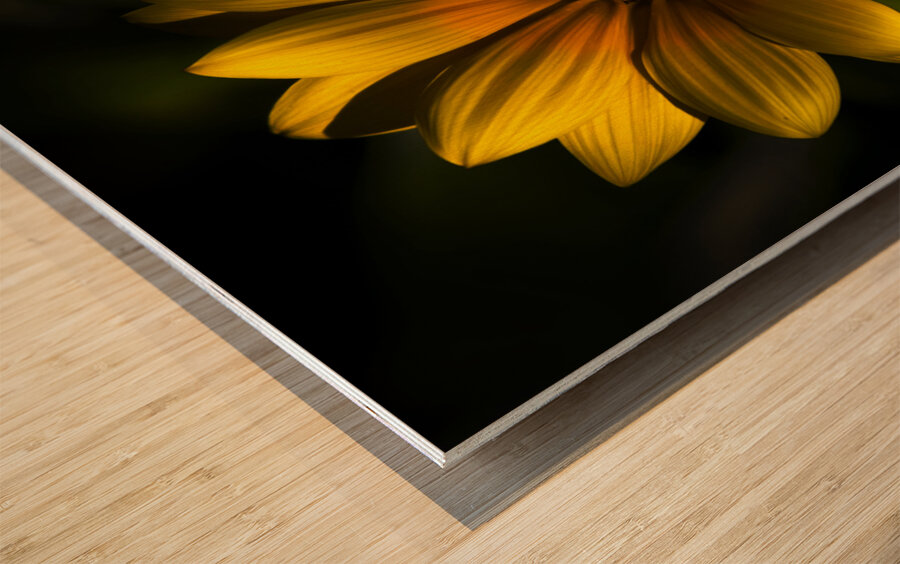 Beginning Of Spring In Flower Wood print