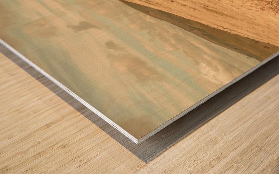 Country colours Wood print