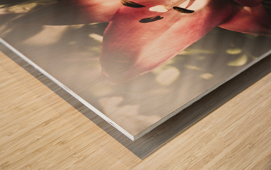 Of love and light Wood print