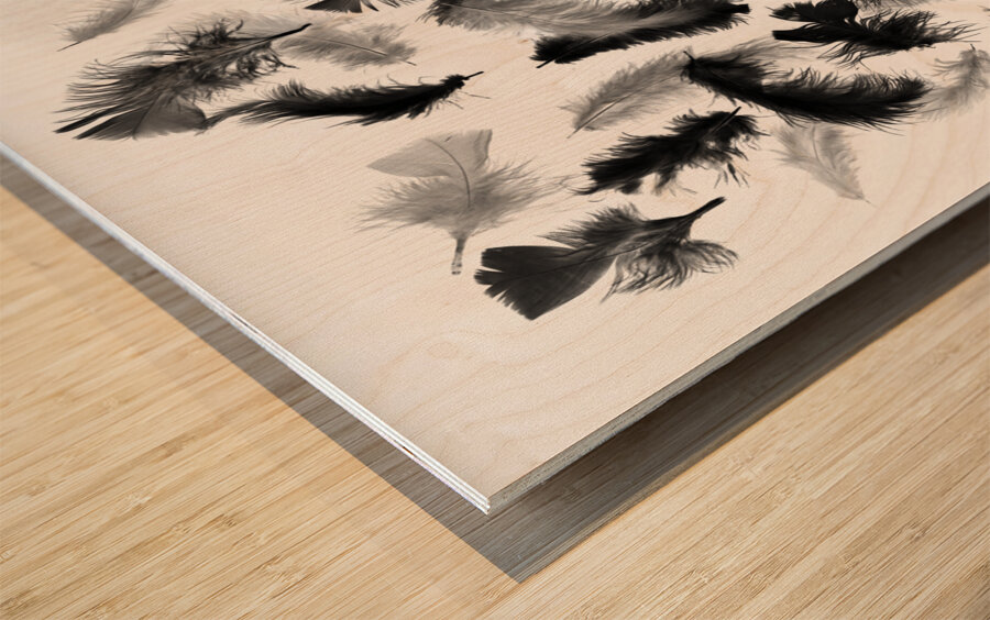 Flock in feather Wood print