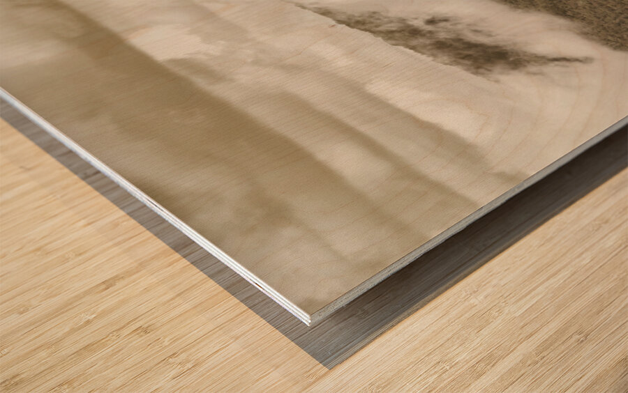 Oncoming rains Wood print