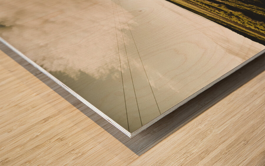 Way out yonder Wood print