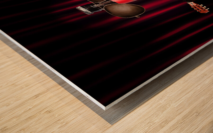 Beer bottle music performer playing opening act Wood print