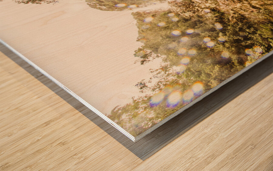 Falls explorer Wood print