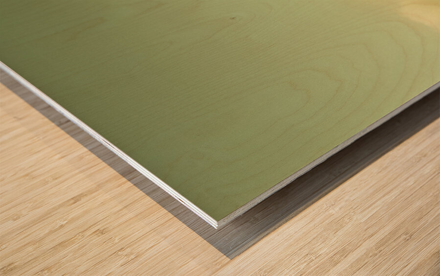 Tasmanian mountain ranges Wood print