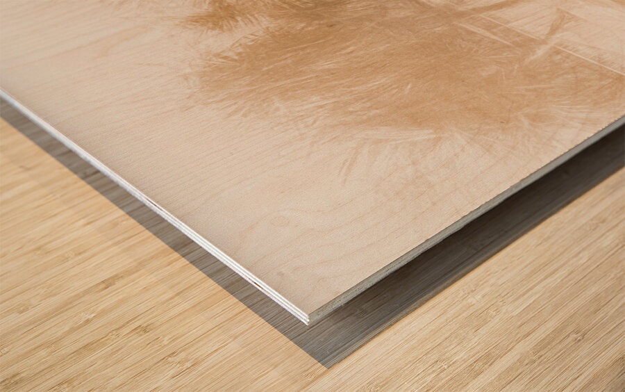 Fine art beach pinup Wood print