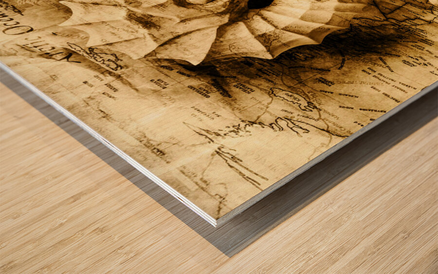 Seahorse Seas Wood print