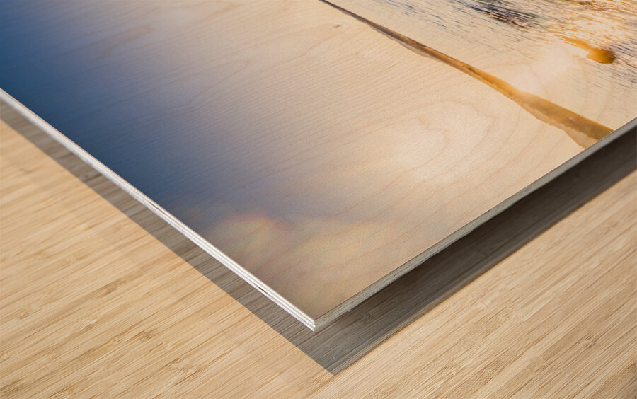 Magnificent australian coastline Wood print