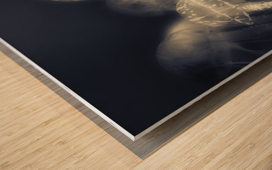 Crepsiculs – An awakening Wood print