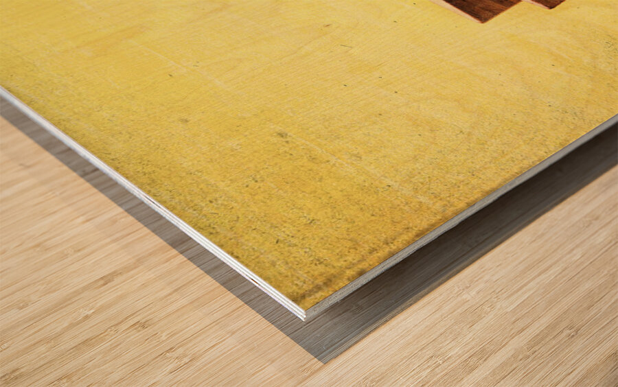 Clothespins and dandelions Wood print