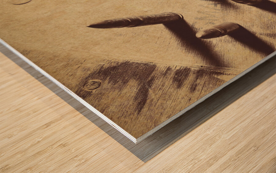 Seven deadly sins Wood print