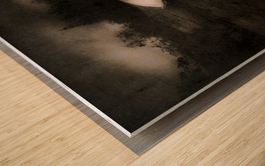 Path To The Unknown Wood print