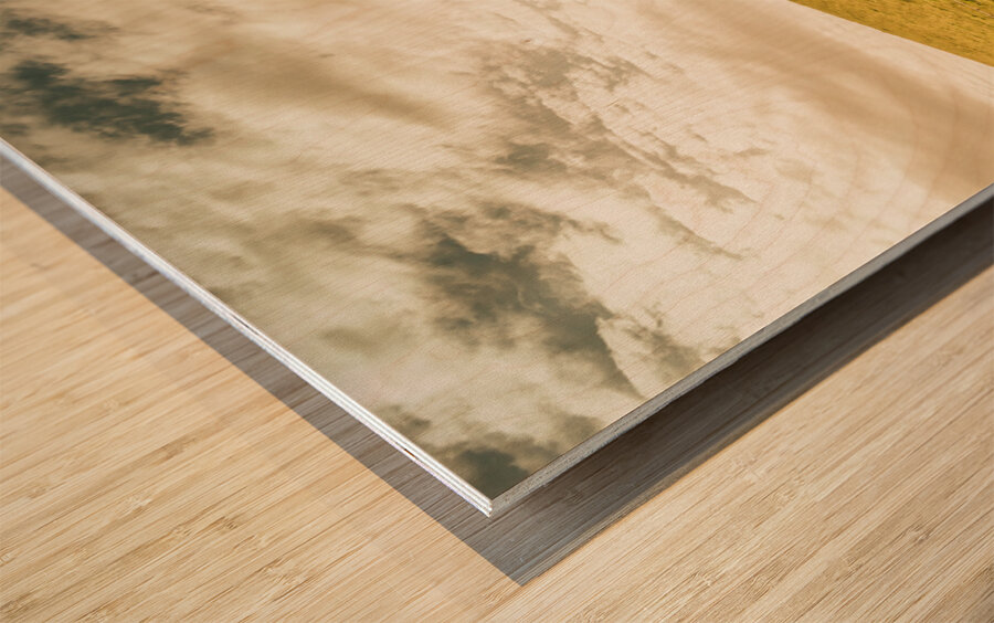 Australian farm charm Wood print