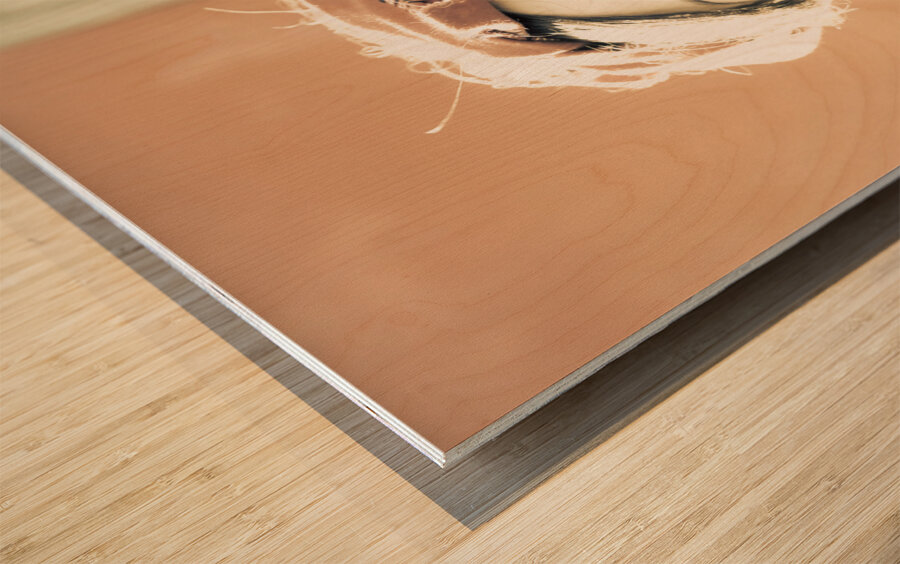 Retro Fun Wood print