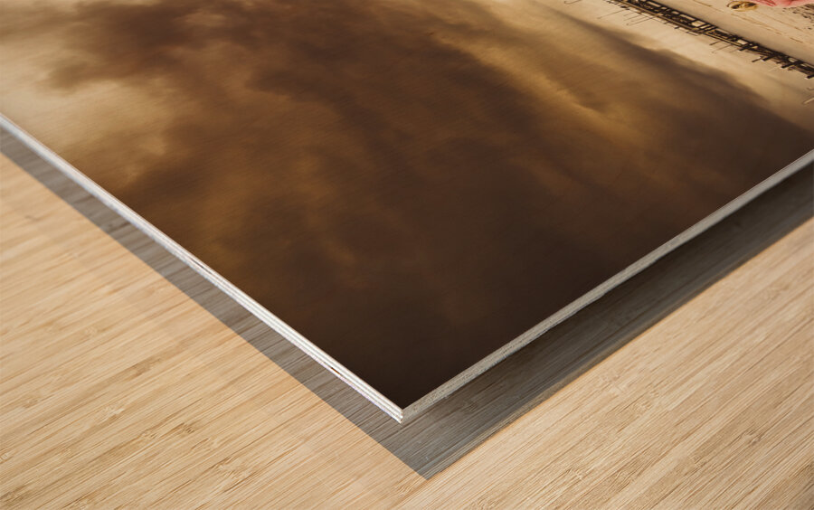 Woman walking dog on stormy beach Wood print