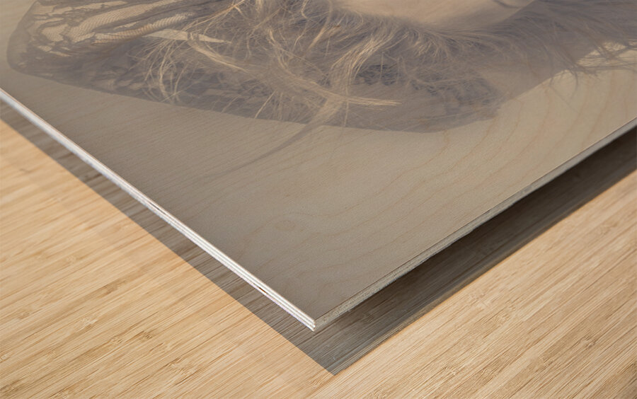 Mysterious young model dancing in vintage fashion  Wood print