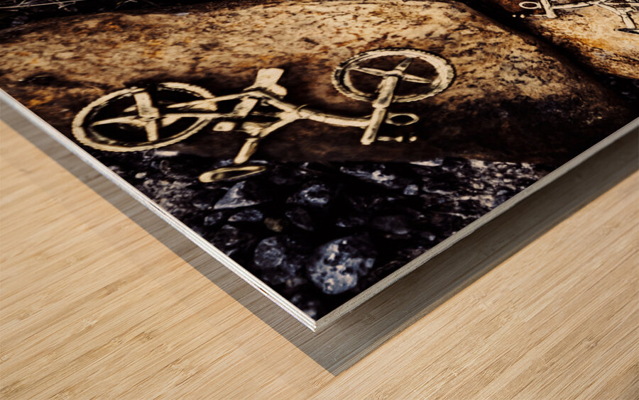 Biking trail scene Wood print