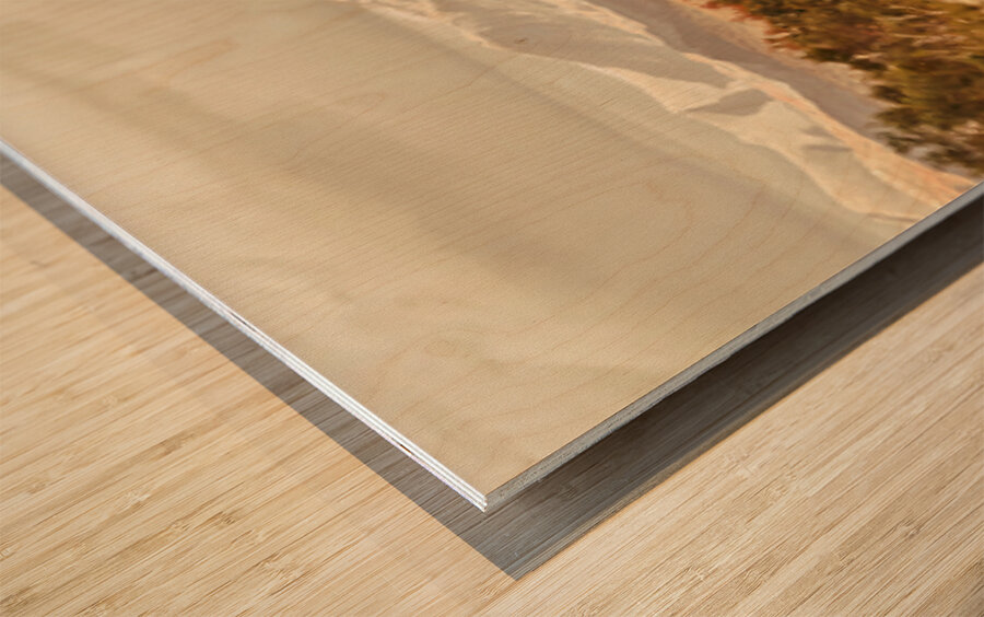 Zeehan and beyond Wood print