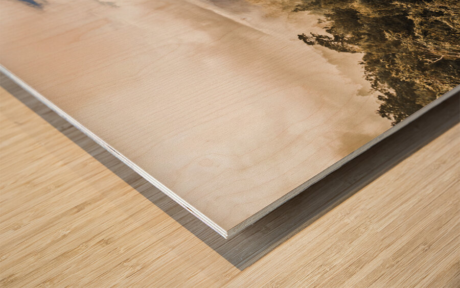 Hartz Mountains to Wellington Range Wood print