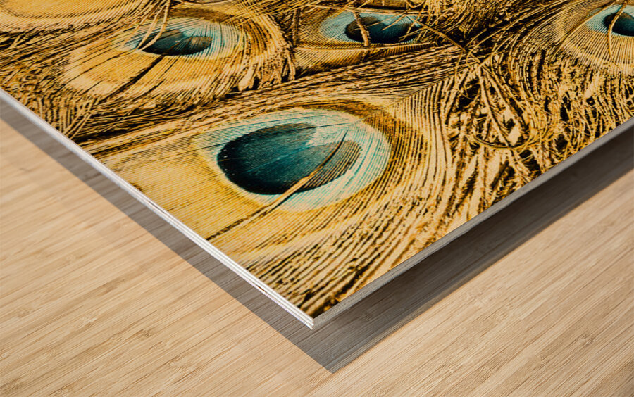 Spot colors Wood print